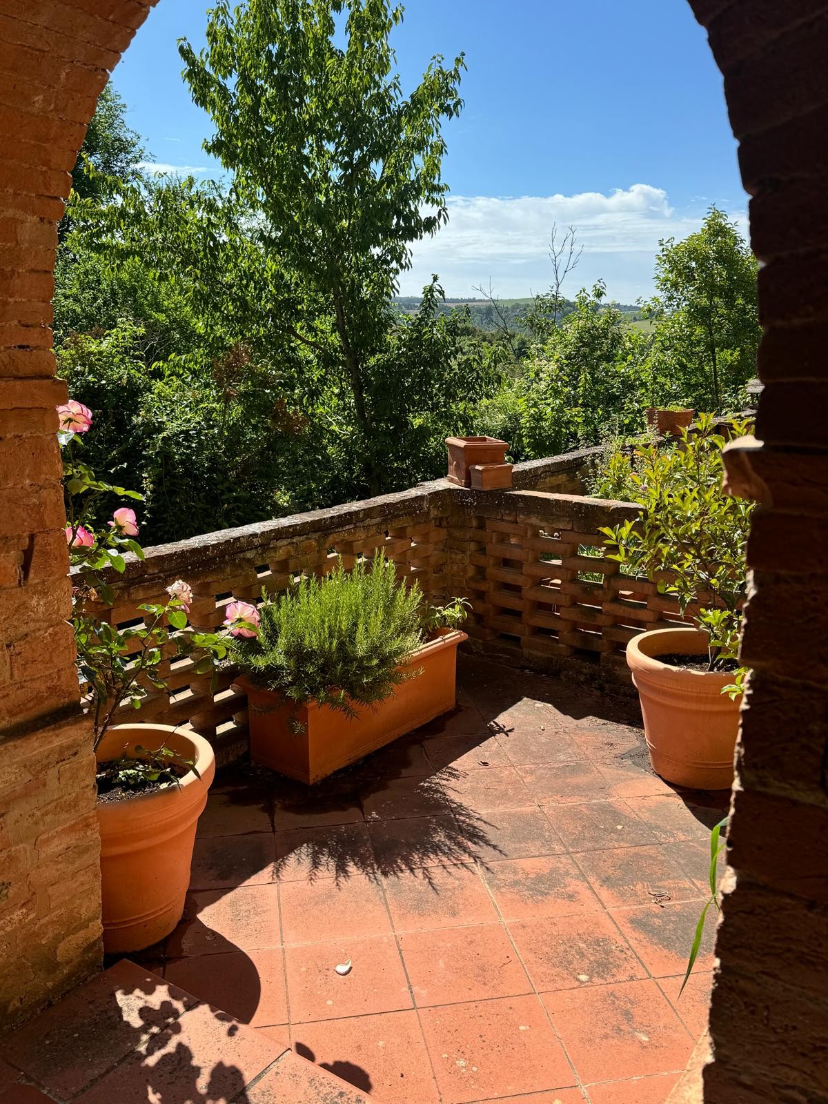 Rustico / Casale -  Buonconvento